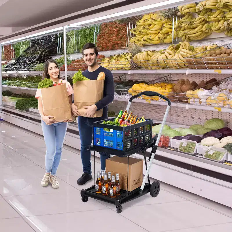 Carrelli della Spesa Pieghevoli per la Spesa, Carrelli della Spesa Pieghevoli a 2 Livelli con Ruote e Cassetta Rimovibile, Carrello Pieghevole con Struttura in Alluminio